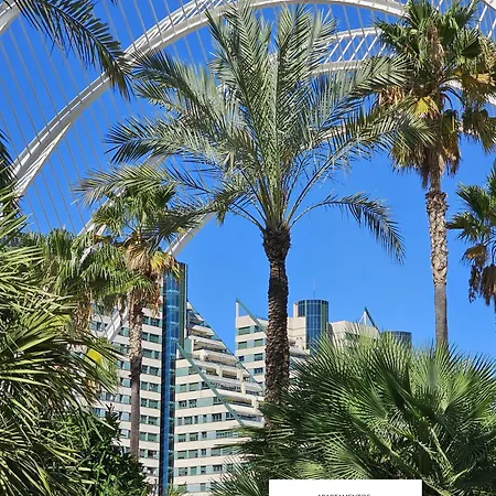 Ciencias C * Valencia